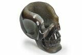 Polished Banded Agate Skull - Halloween Special #237023-2